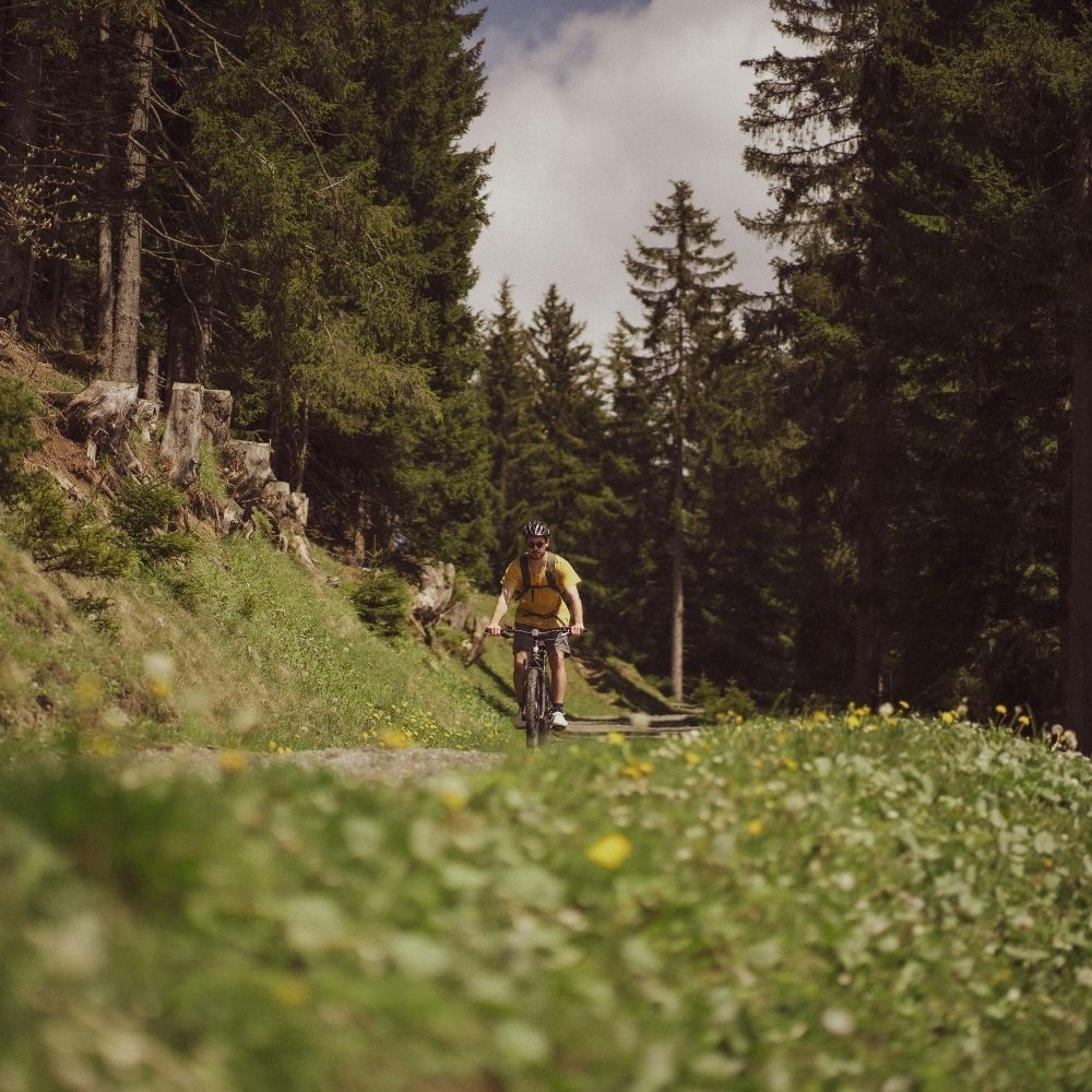 Alpine Natur rund um das AMRAI Suites in Schruns