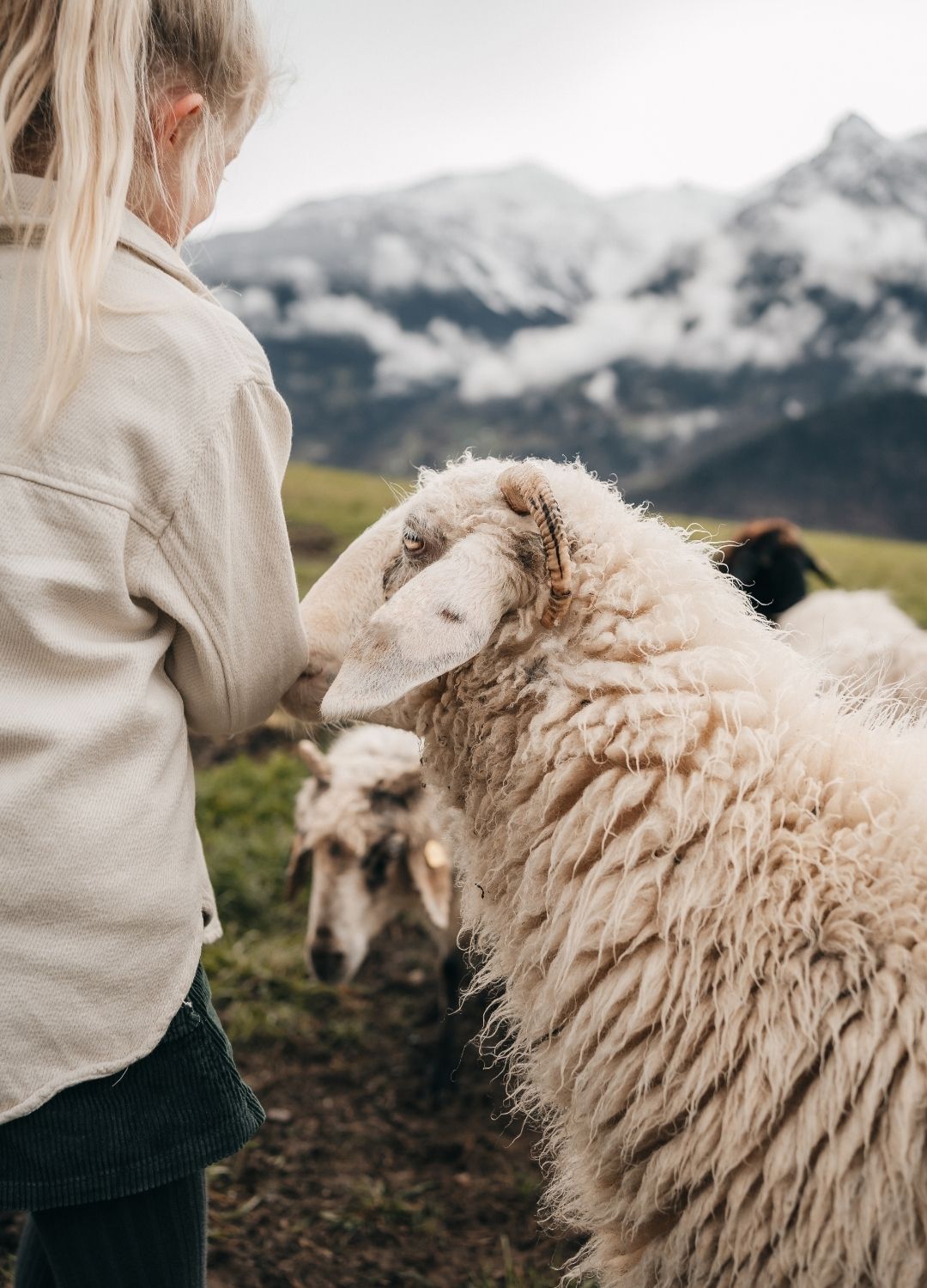 Familie verbringt Zeit in der Natur nahe dem AMRAI Suites